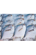 FROZEN BLACK POMFRET WHOLE ROUND