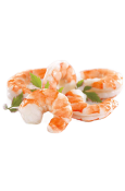 Cooked PD Black Tiger Shrimp