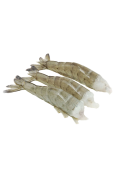 HLSO Vannamei Shrimp